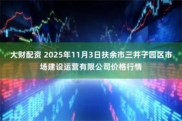 大财配资 2025年11月3日扶余市三井子园区市场建设运营有限公司价格行情