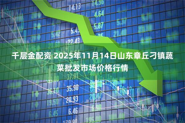 千层金配资 2025年11月14日山东章丘刁镇蔬菜批发市场价格行情