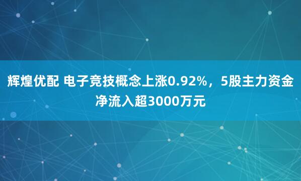 辉煌优配 电子竞技概念上涨0.92%，5股主力资金净流入超3000万元