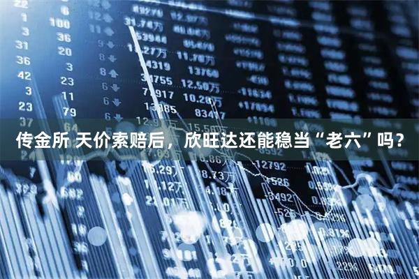 传金所 天价索赔后，欣旺达还能稳当“老六”吗？