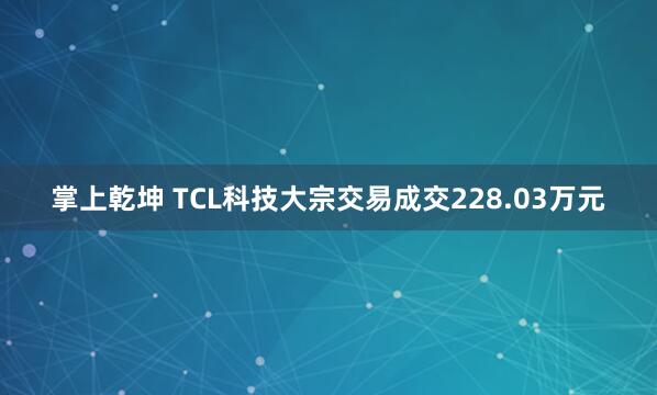 掌上乾坤 TCL科技大宗交易成交228.03万元